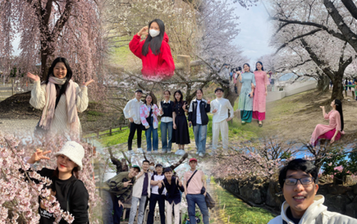 “Bắt trend” ngắm mùa hoa anh đào tại Nhật Bản cùng sinh viên Đại học Đông Á