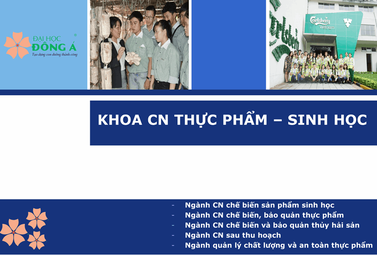 Lý do nào khiến ngành công nghệ thực phẩm tại  Đại học Đông Á chưa bao giờ hết “hot”
