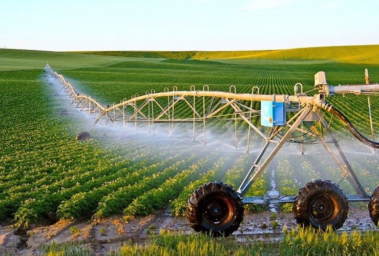 Mỏi mắt tìm kiếm nhân lực chất lượng cao ngành Nông nghiệp