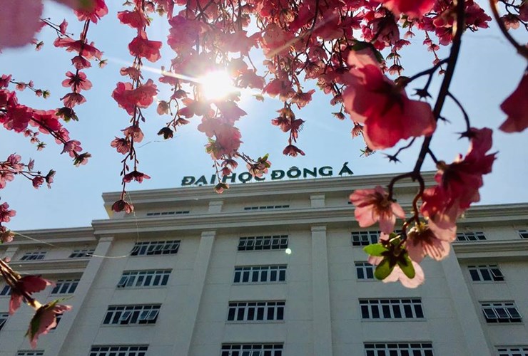 Lịch thi tuyển sinh liên thông (tháng 3/2019)