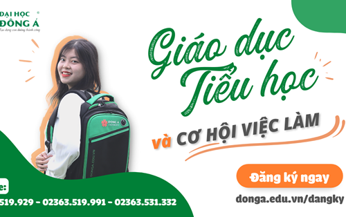 Giáo dục Tiểu học và Cơ hội việc làm