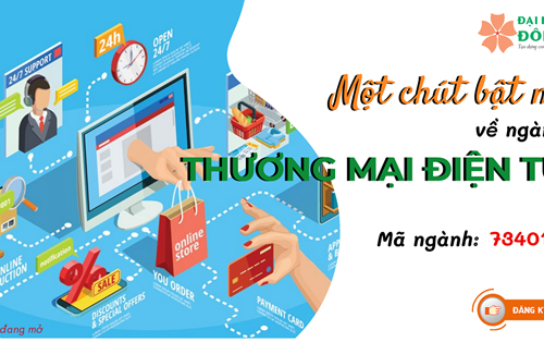 Một chút "bật mí" về ngành Thương mại điện tử