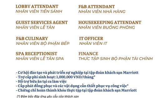 Khách sạn Four Points by Sheraton Đà Nẵng tuyển Thực tập sinh