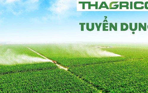 Công ty cổ phần Nông nghiệp Trường Hải tuyển dụng nhiều vị trí