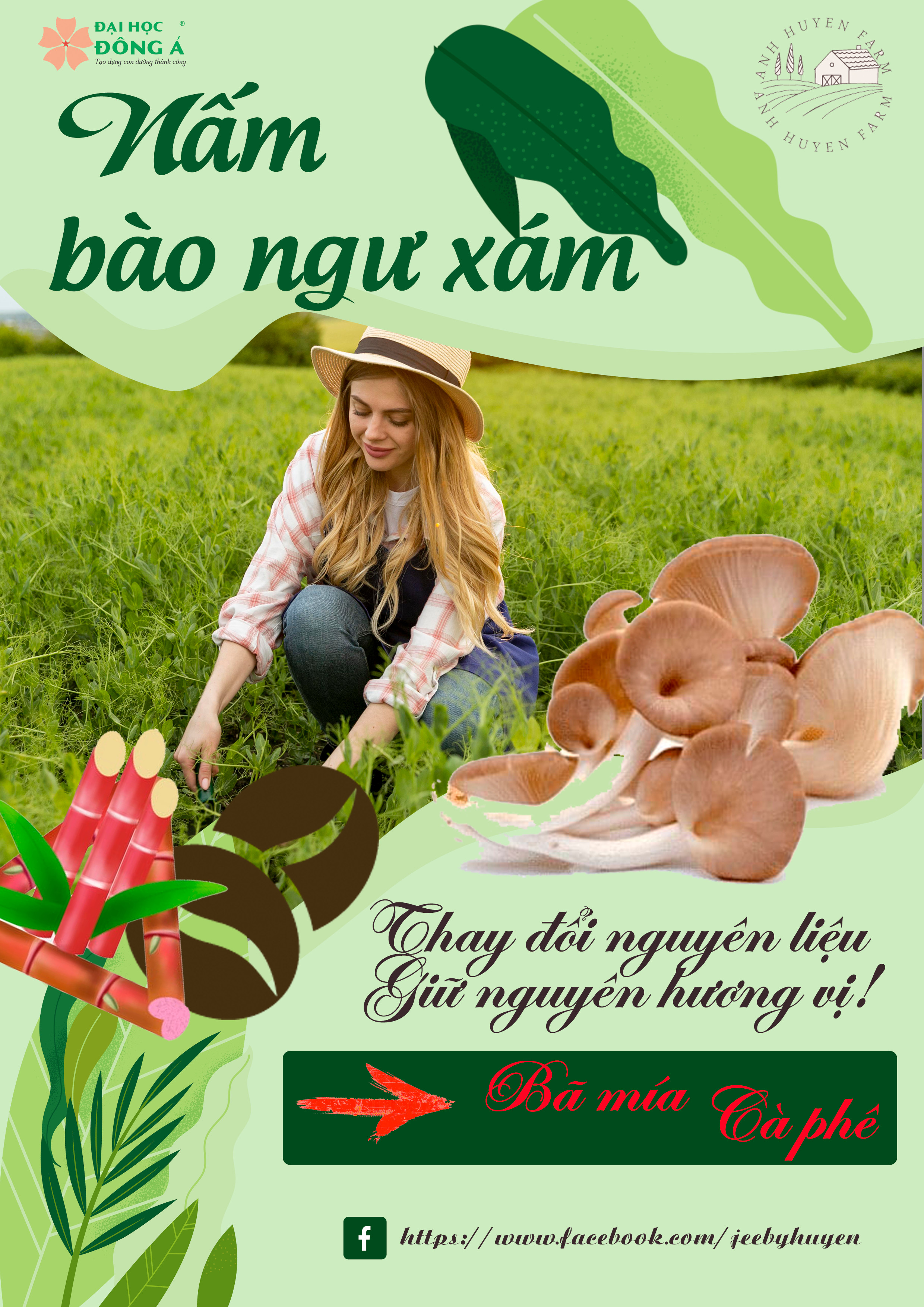 Dự án: Sản xuất nấm bào ngư xám từ bã mía và bã cà phê