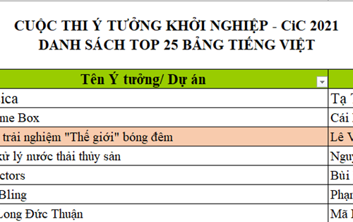 Dự án Du lịch trải nghiệm "Thế giới" bóng đêm của nhóm Sinh viên Đại học Đông Á xuất sắc vào TOP 25 CiC 2021