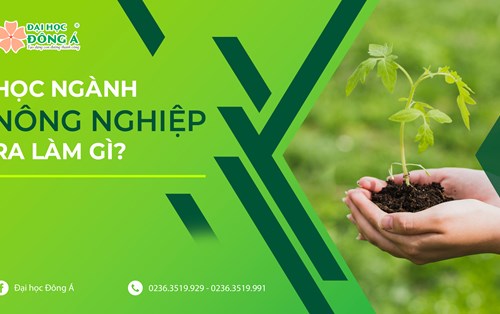 Học ngành Nông nghiệp ra làm gì? Cơ hội việc làm của ngành Nông nghiệp