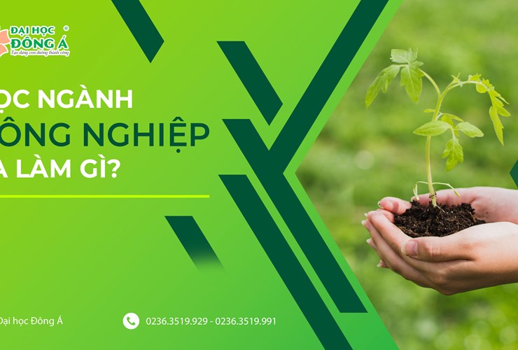 Học ngành Nông nghiệp ra làm gì? Cơ hội việc làm của ngành Nông nghiệp