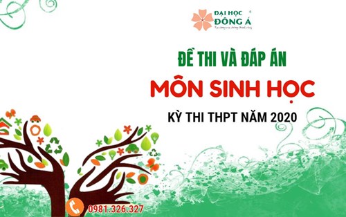[Mới nhất] Đề thi và đáp án chính thức kỳ thi Tốt nghiệp THPT 2020 - Môn Sinh