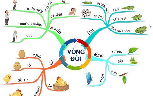 Mách bạn 5 bí kíp ôn thi không thể bỏ qua